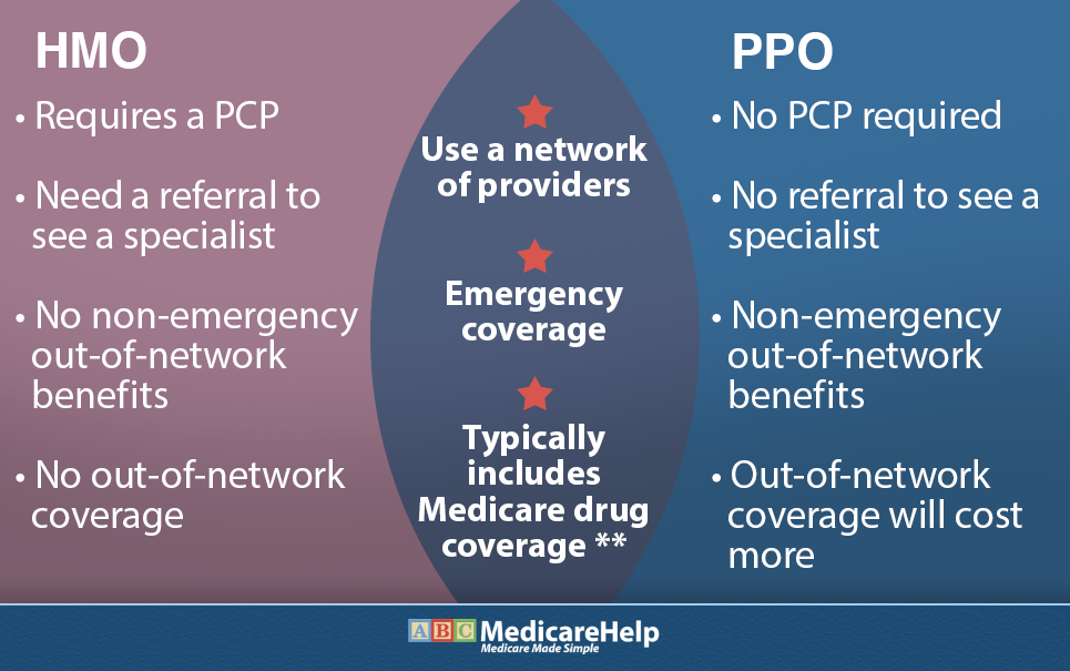 Is Delta Care USA a PPO or HMO?